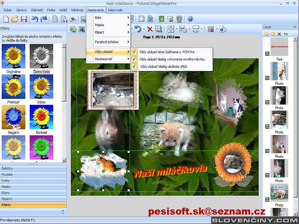 Picture Collage Maker Pro